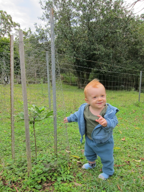 Dom and bloodwood tree 11 months