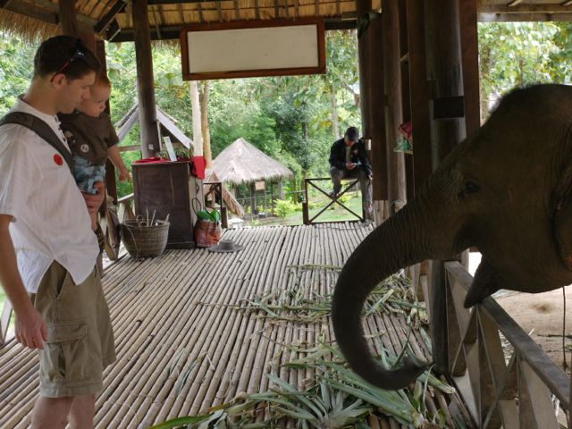 Mike and Dom and elephant