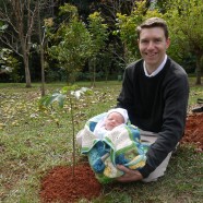 Showers, champagne, and flame trees: Celebrating and commemorating birth