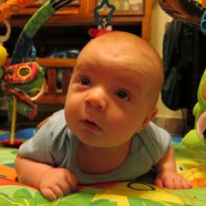 Dear Dad, Love Dominic