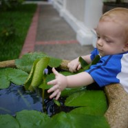 When my child is sick: Missing the promise and illusion of safety
