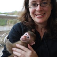 Two extremes on the fun scale – monkeys and colds