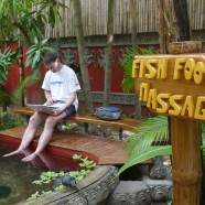 Surprise endings and a fish foot massage (A Writing Wednesday post)
