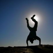 Resilience Research Report – The Executive Summary