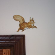 Squirrels and other things we’ve been getting up to